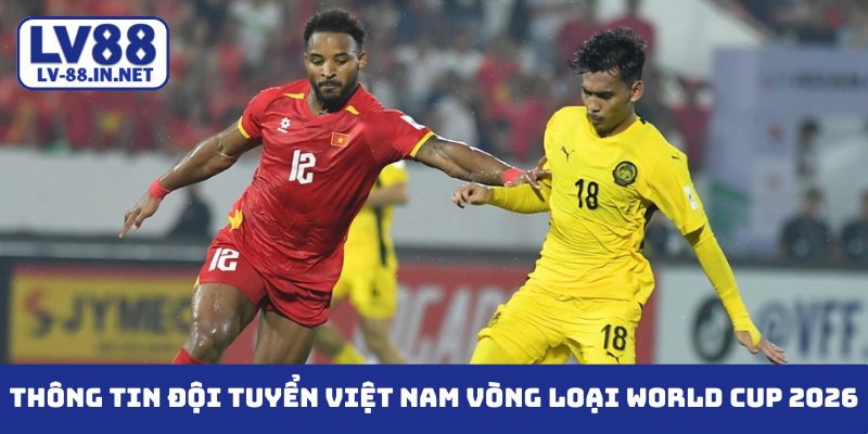 đội tuyển việt nam vòng loại world cup 2026